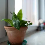 Airport Residence Green
